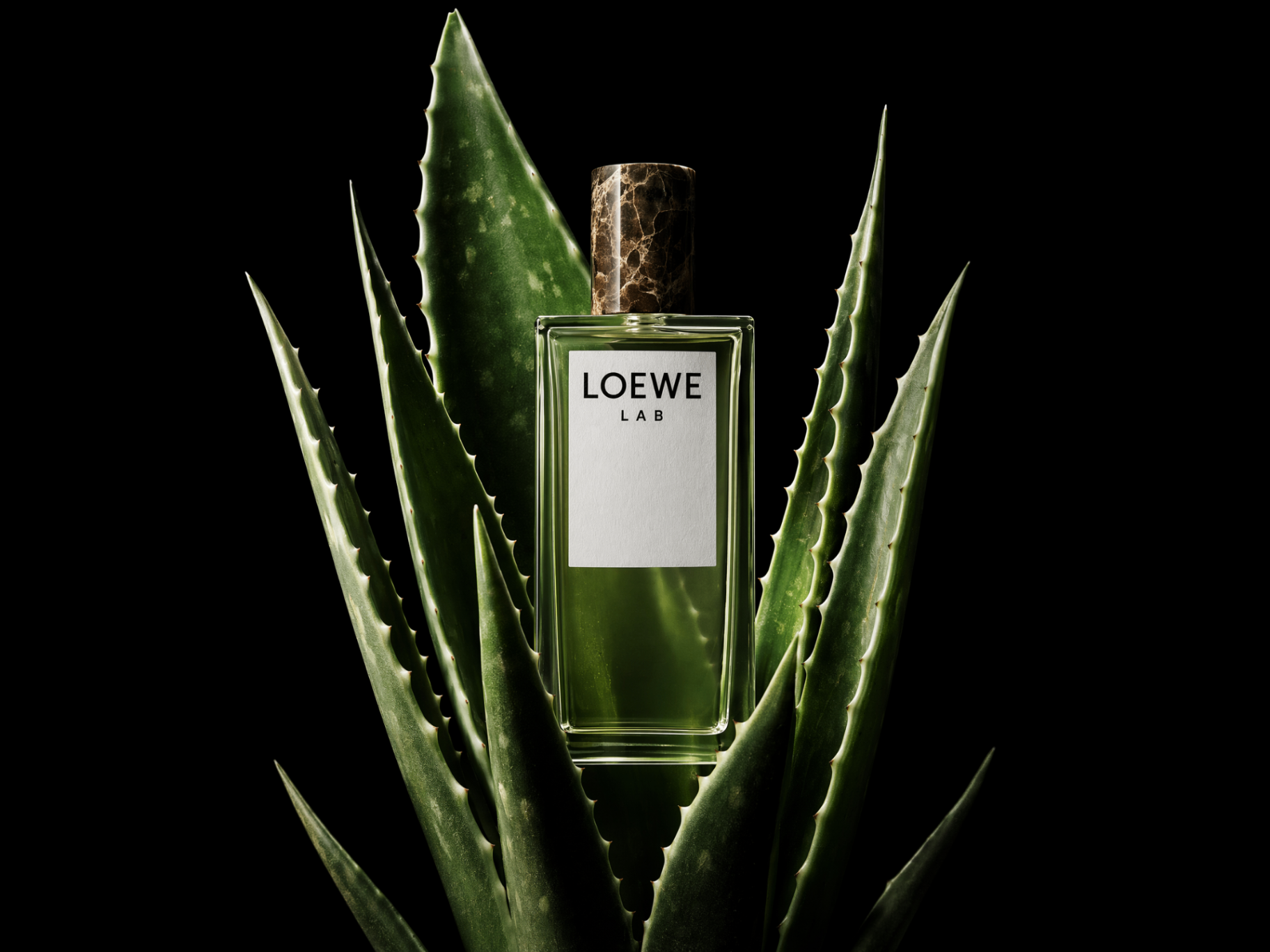 Fragancia · Loewe