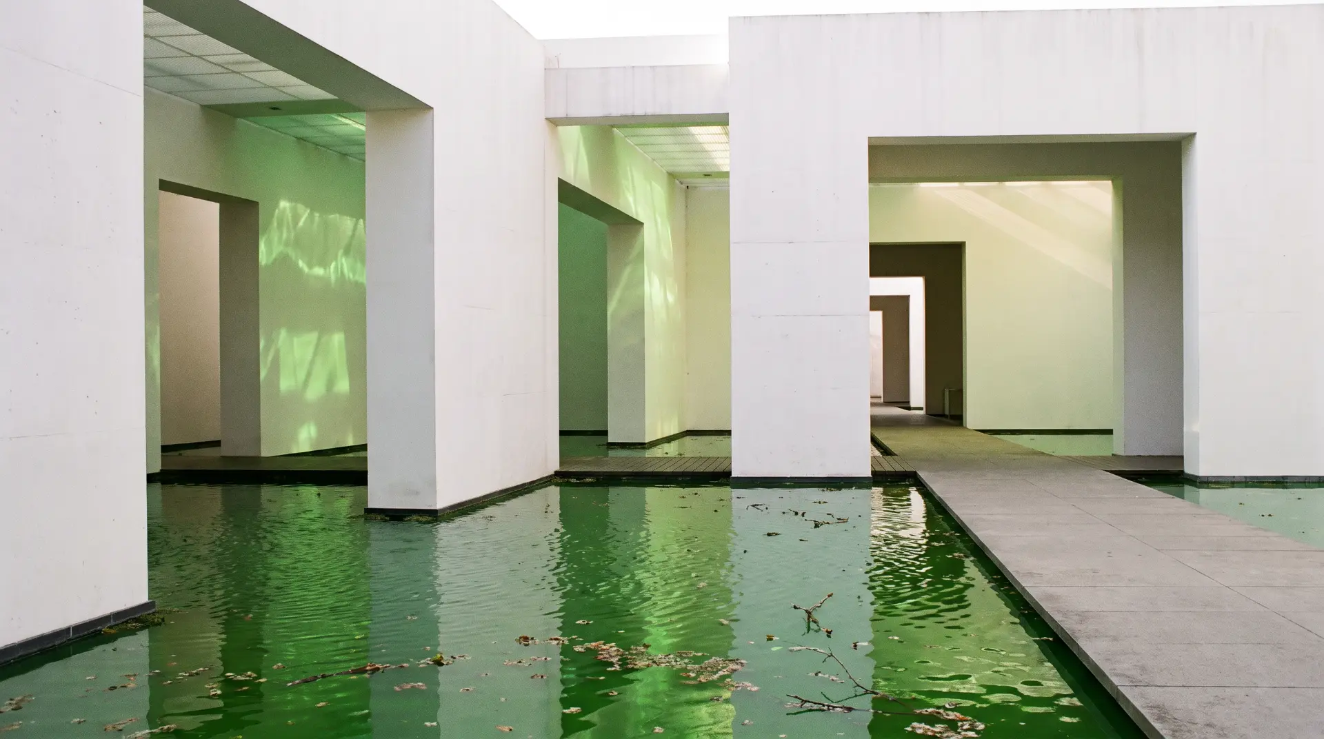 Localización vacía: patio modernista de muros blancos sobre lámina de agua verde